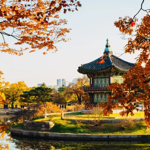 8D6N Korea Flora Maple Tour